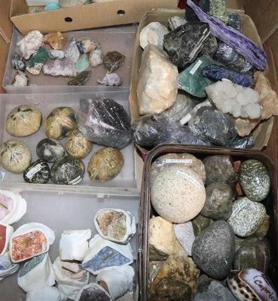 Collection of amethyst & minerals